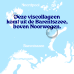 Viscollageen poeder Aardbei - Afbeelding 9