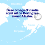 Visolie capsules (groot) - Afbeelding 8