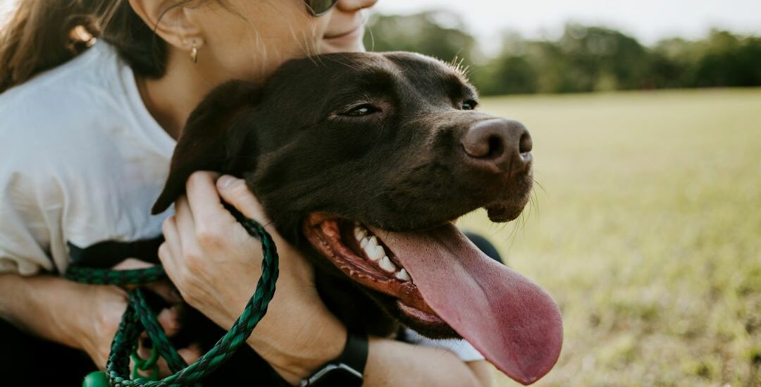 Women dog fish oil 1 e1714036273310