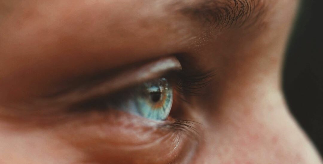 Nutrition eye 2 e1714035166117