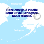 Visolie met Hoge EPA DHA - Afbeelding 6